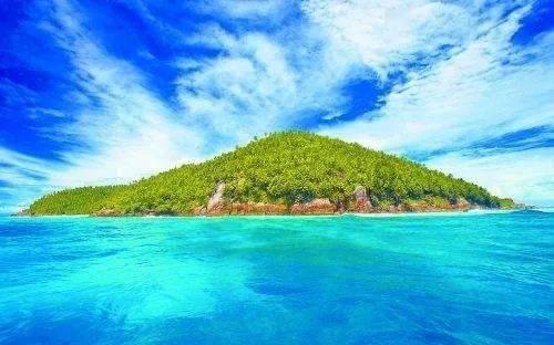 拯救蝙蝠家族